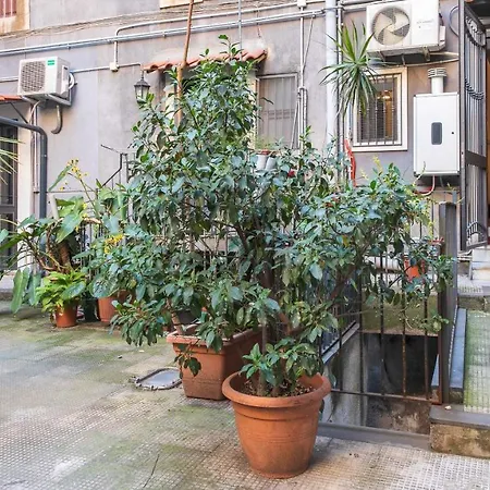 The House Apartment