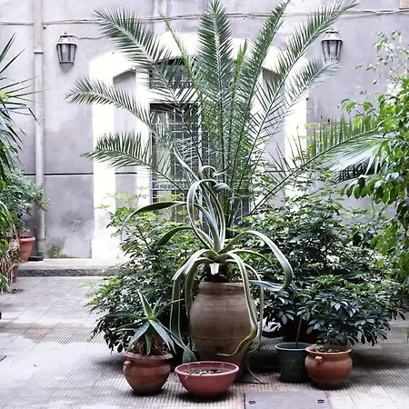 דירה The House *