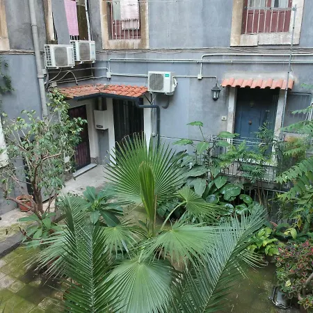 The House