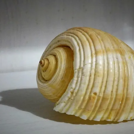 דירה The House קטאניה